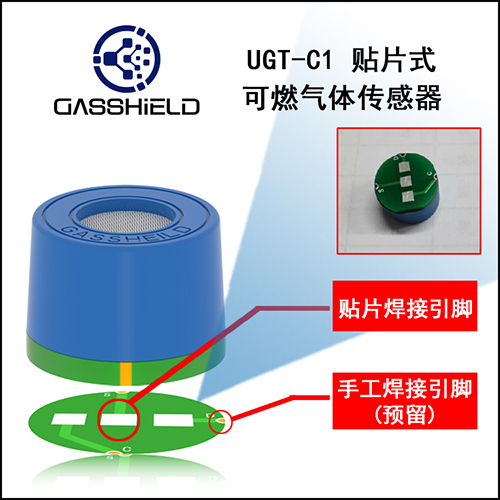 英國(guó)氣盾氣體傳感器